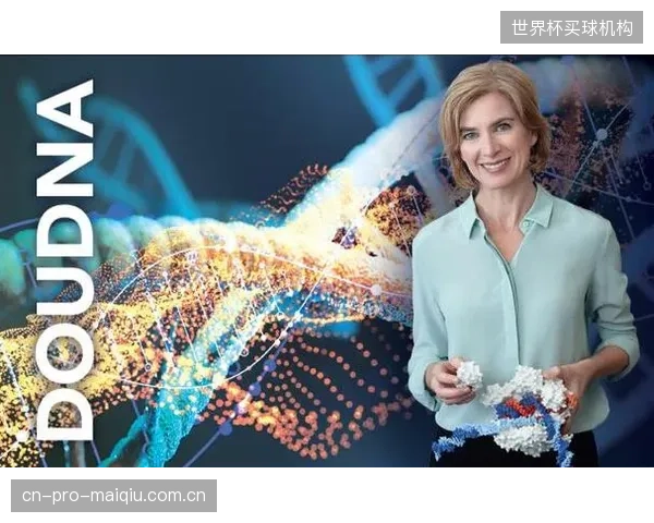 赛事内容产品化全面转向，“情绪包裹”正取代比赛胜负成为核心交付物